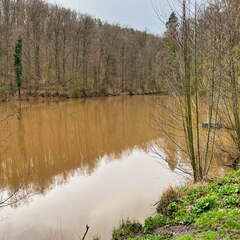 20220410173706-b35cdf83